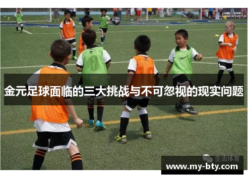 金元足球面临的三大挑战与不可忽视的现实问题